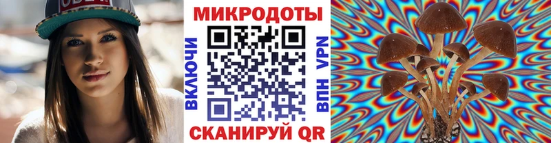 Галлюциногенные грибы мухоморы Ленинск-Кузнецкий