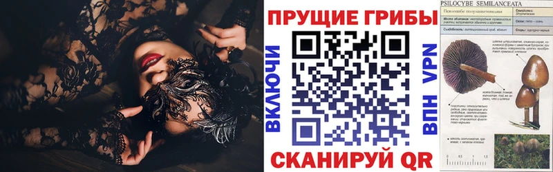 Псилоцибиновые грибы мухоморы  Купить  Ленинск-Кузнецкий 